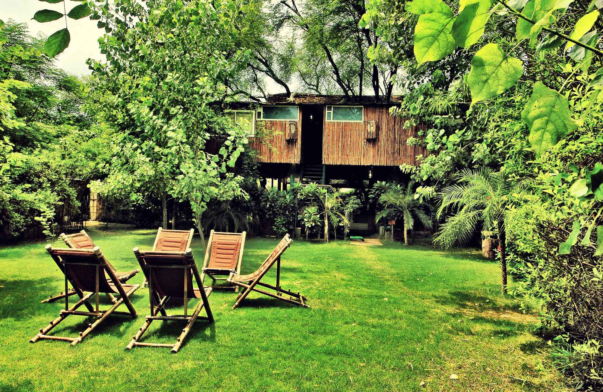 tree house resort jamaica 15 best tree house resorts in the lap of natural india ecstasy adventures tree house resort jamaica 15 best tree house resorts in the lap of natural india ecstasy adventures