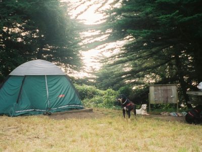 Bicentennial_Campground_San_Francisco